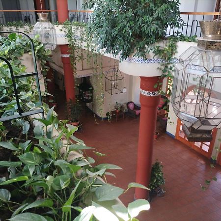 Ferienwohnung Estudio Reina Y Pastora El Rocío Exterior foto